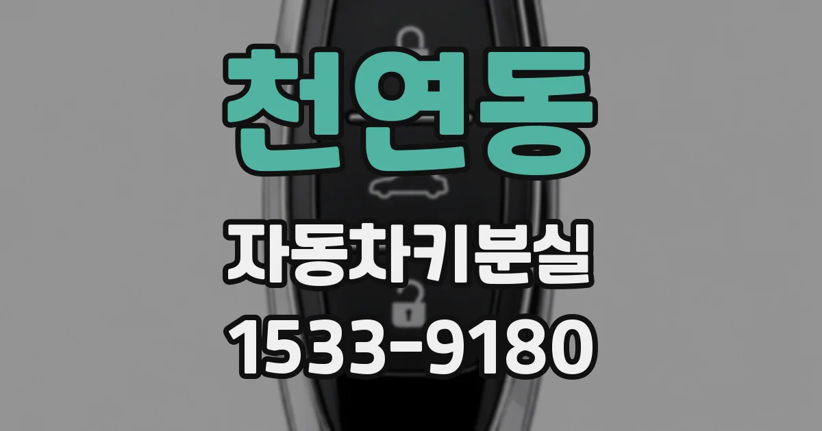 천연동 자동차키분실