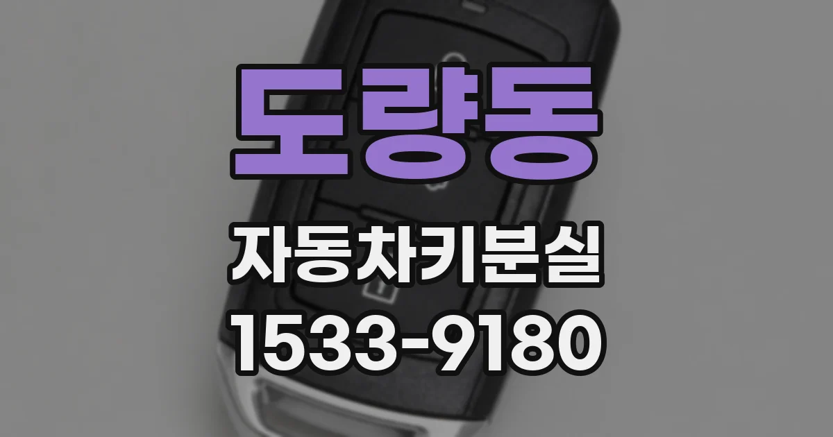 도량동 자동차키분실