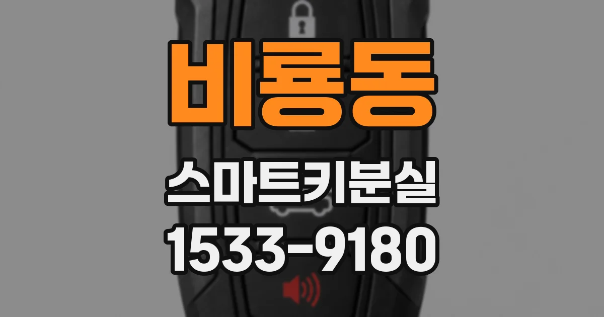비룡동 스마트키분실
