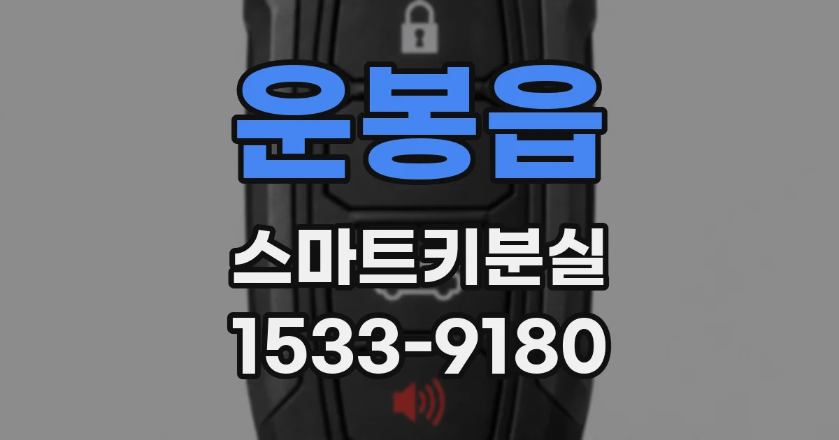 운봉읍 스마트키분실