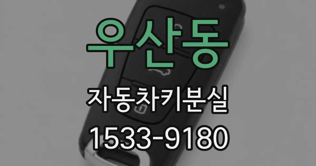 우산동 자동차키분실