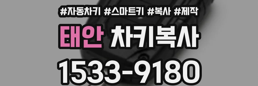 태안 차키복사
