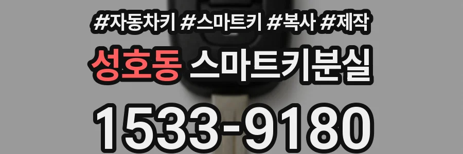 성호동 스마트키분실