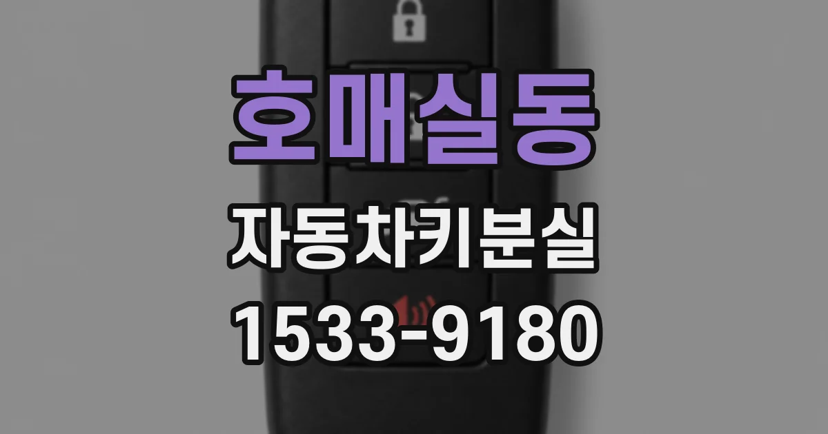 호매실동 자동차키분실