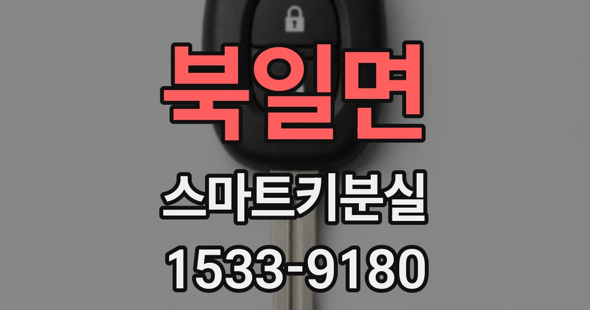 북일면 스마트키분실