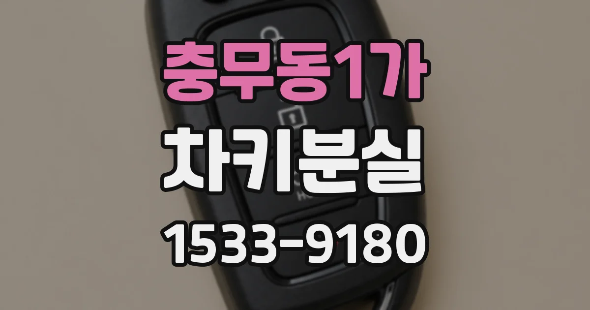 충무동1가 차키분실