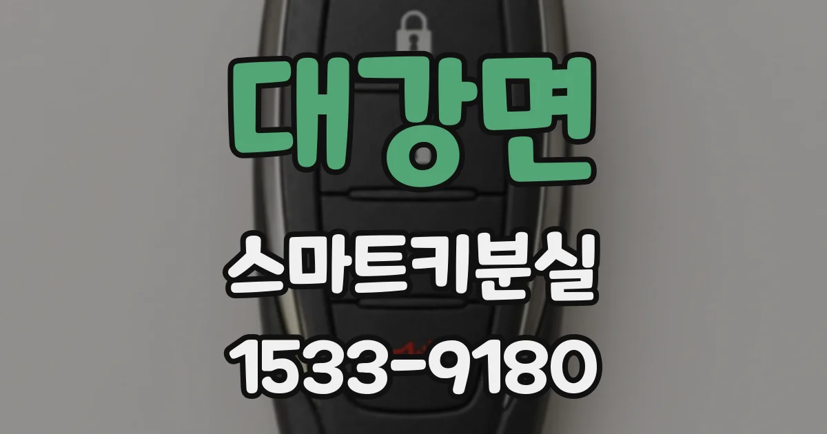 대강면 스마트키분실