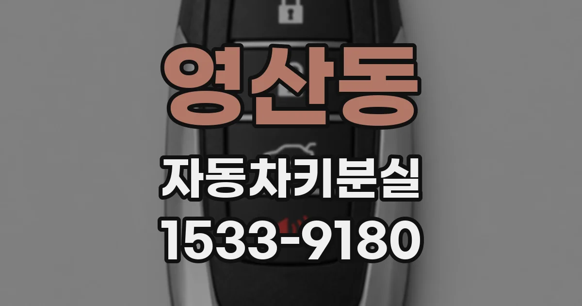 영산동 자동차키분실