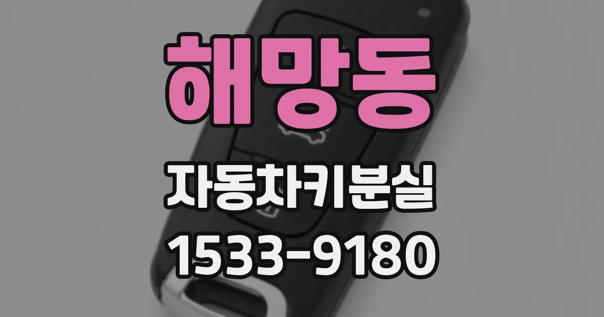 해망동 자동차키분실