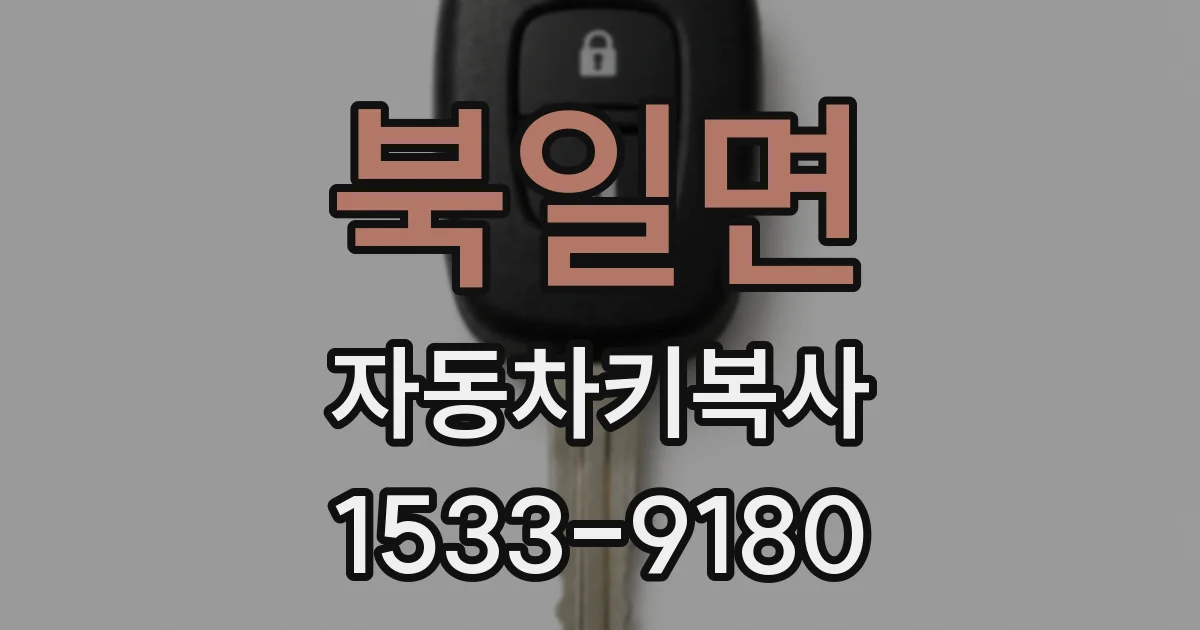 북일면 자동차키복사