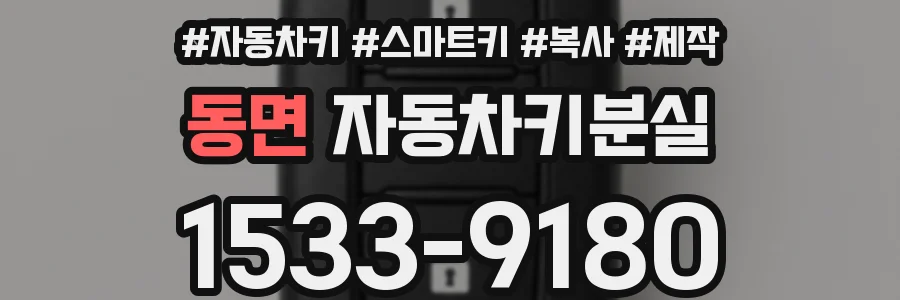 동면 자동차키분실