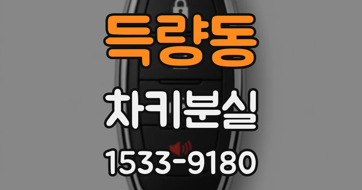 득량동 차키분실