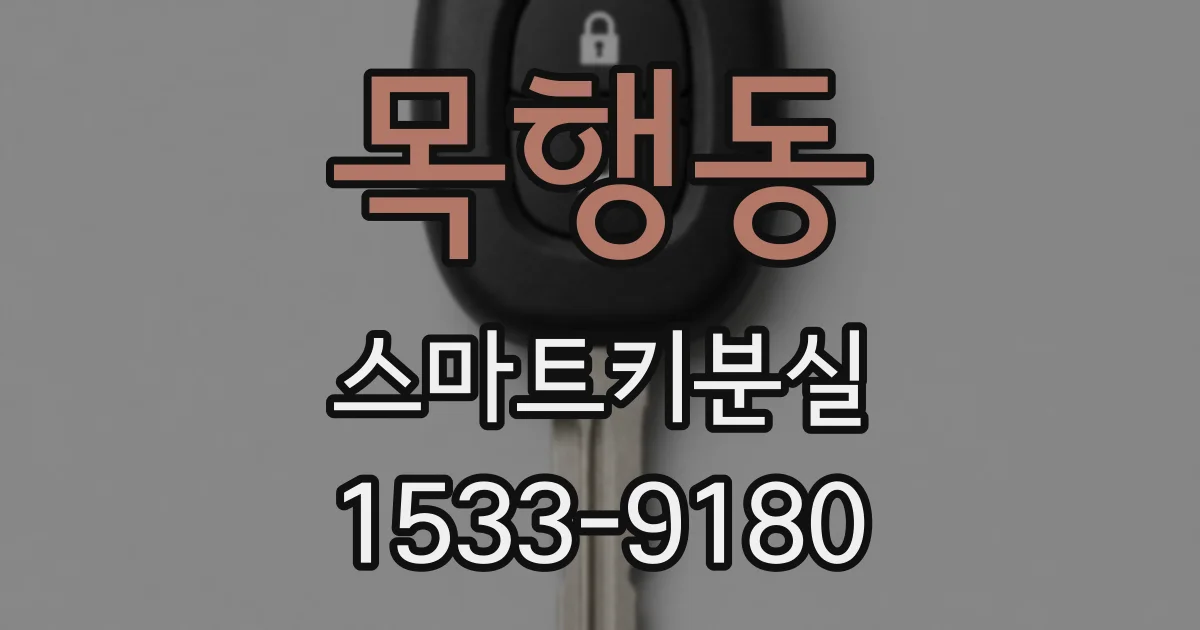 목행동 스마트키분실