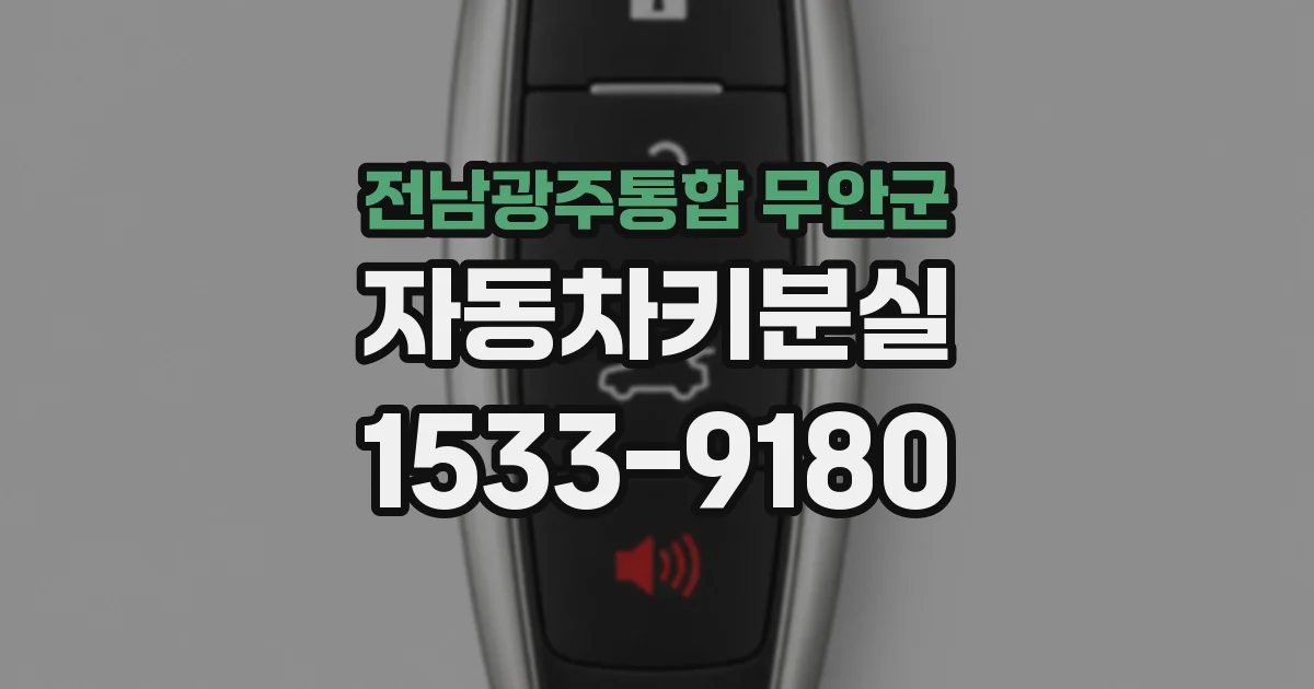 전남광주통합 무안군 자동차키분실