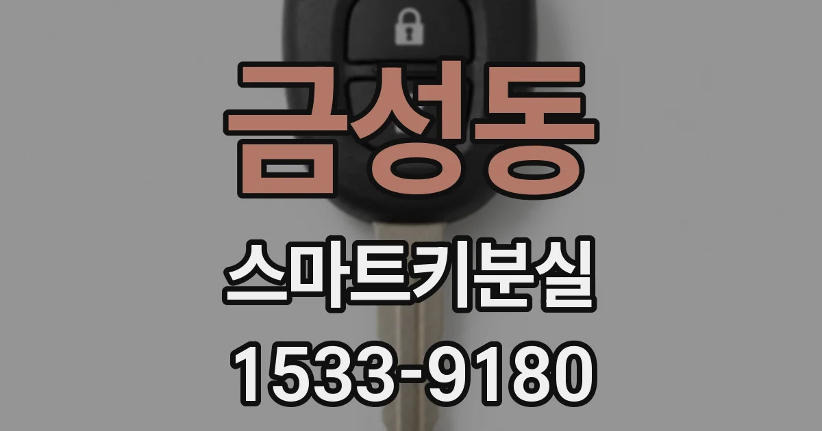 금성동 스마트키분실