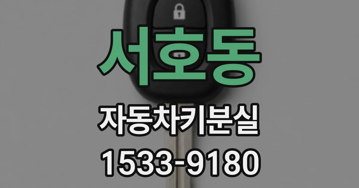 서호동 자동차키분실