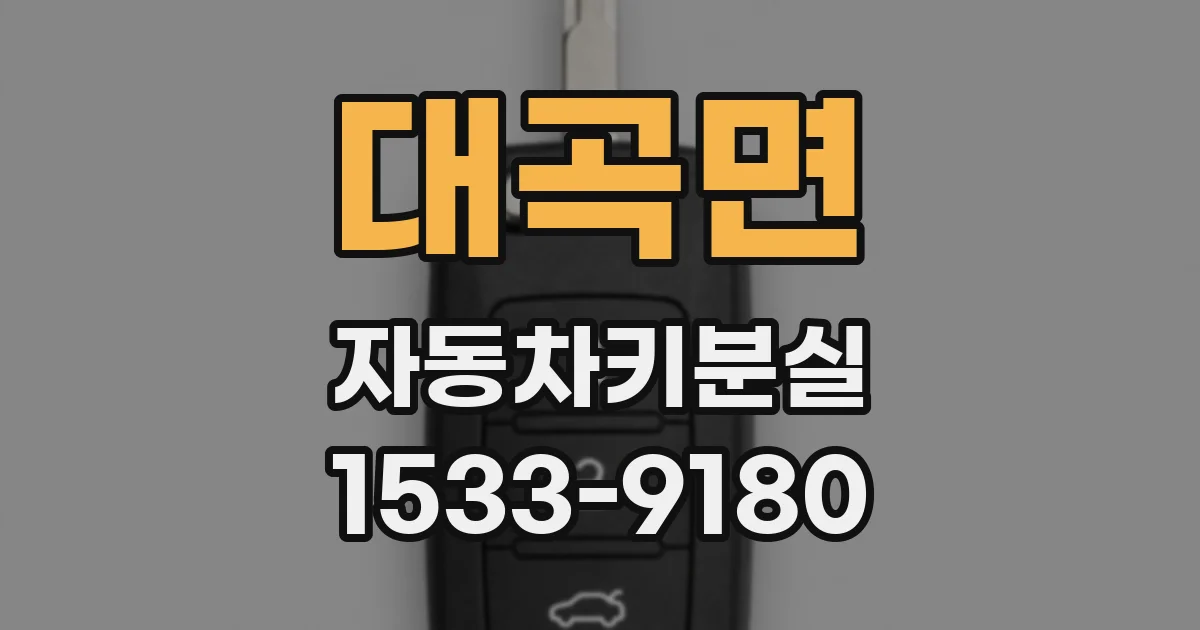 대곡면 자동차키분실