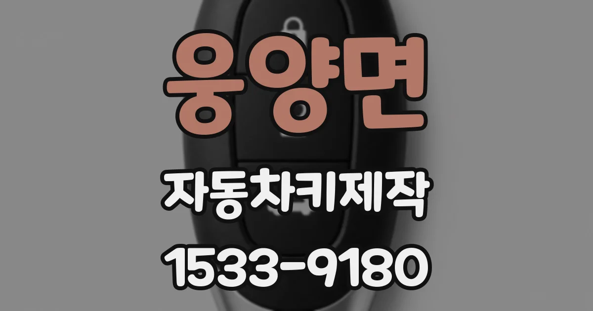 웅양면 자동차키제작