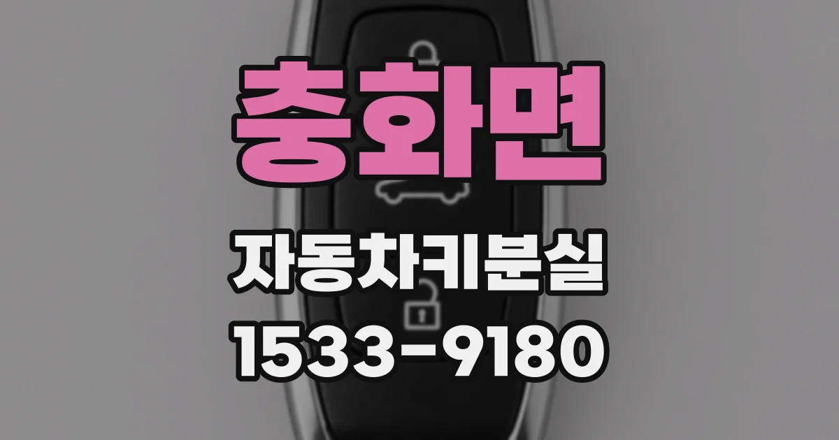 충화면 자동차키분실
