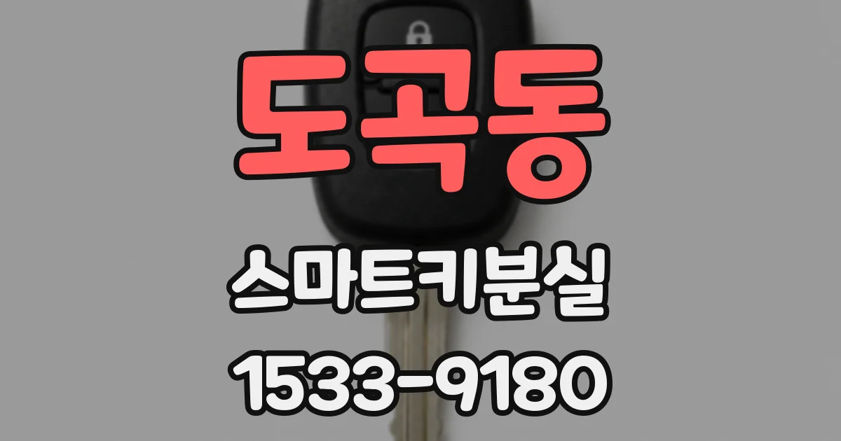 도곡동 스마트키분실