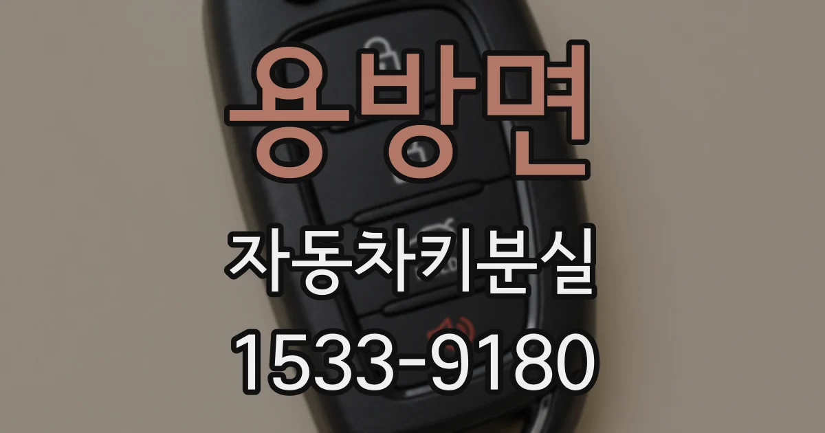 용방면 자동차키분실
