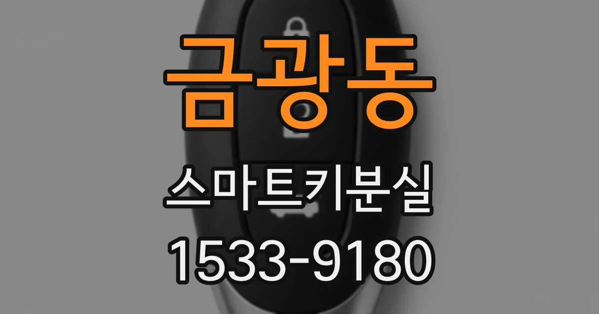 금광동 스마트키분실