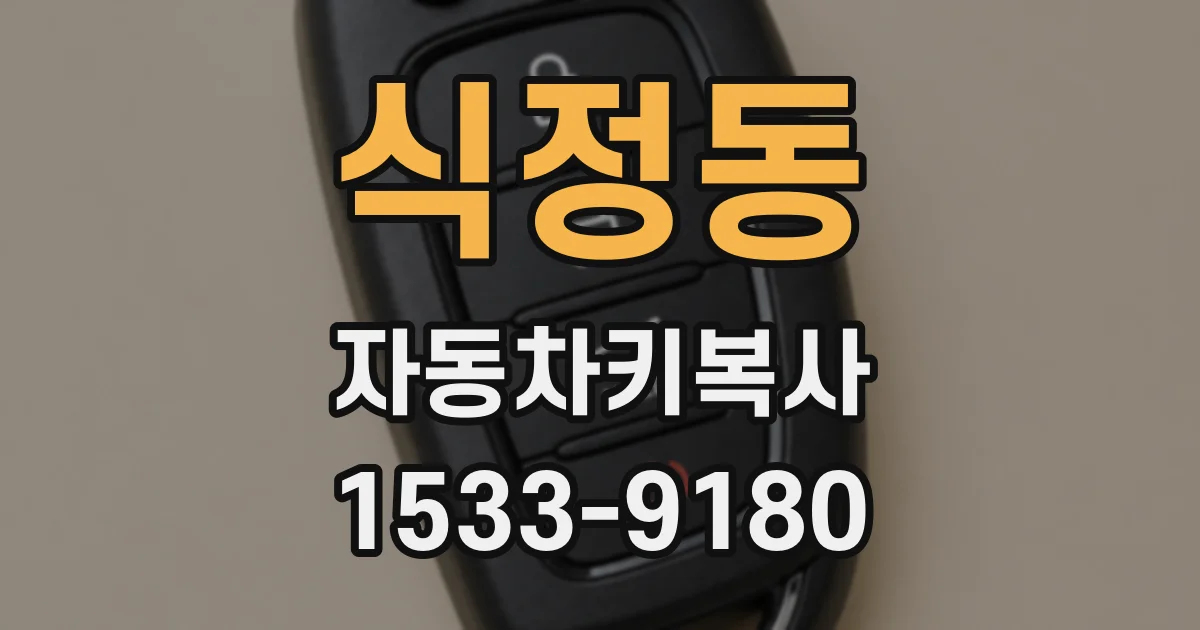 식정동 자동차키복사