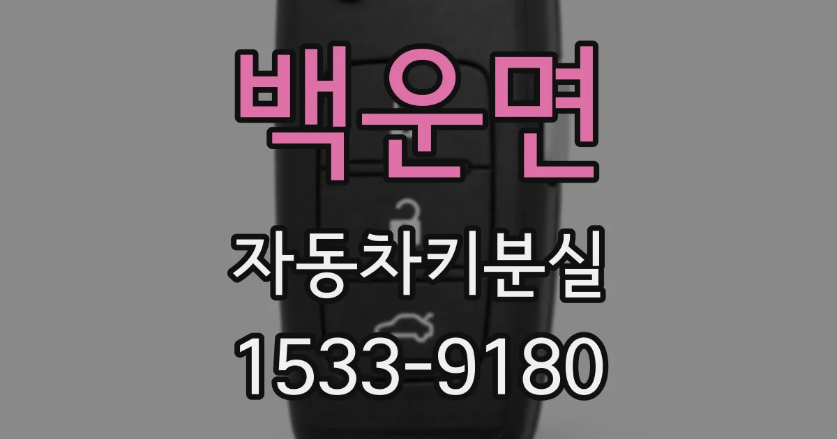 백운면 자동차키분실
