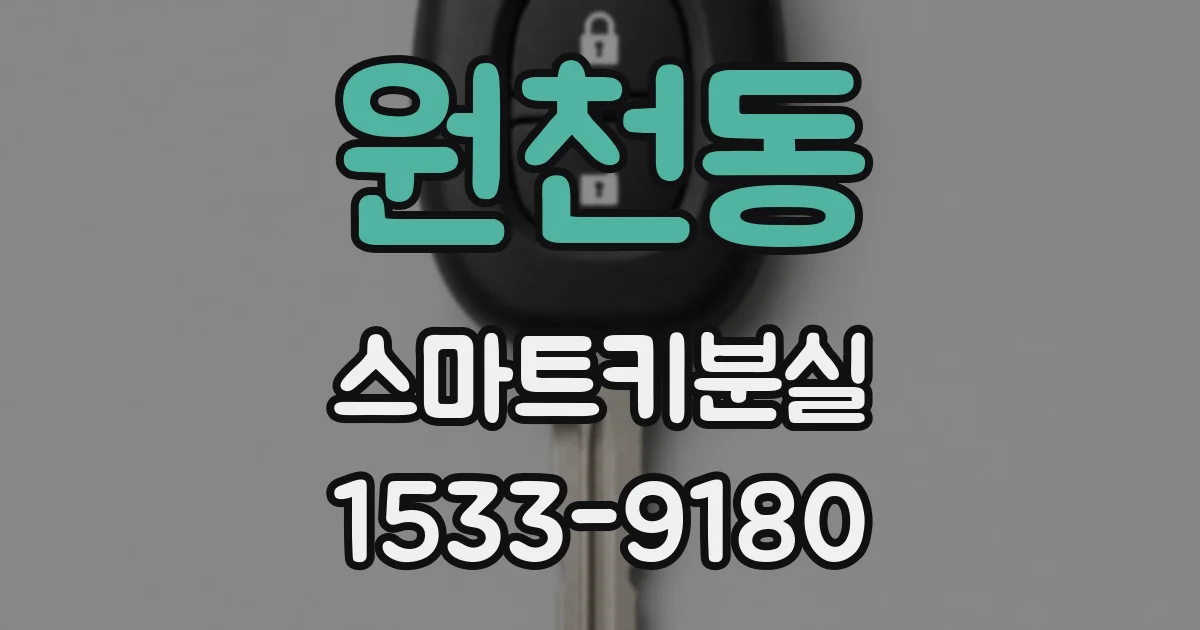원천동 스마트키분실