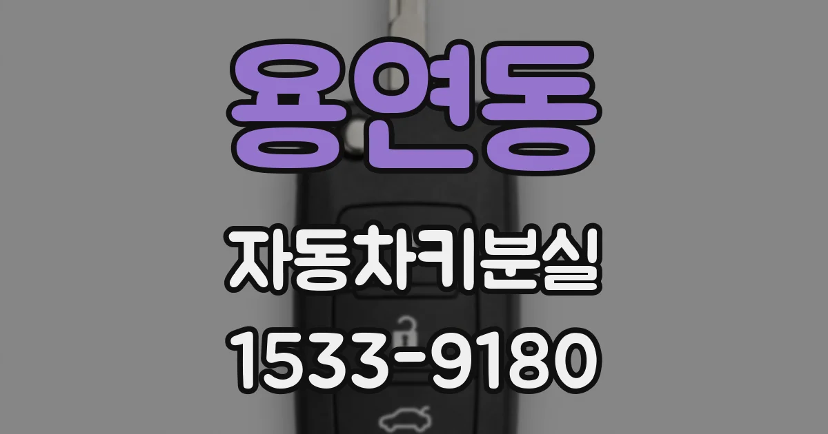 용연동 자동차키분실