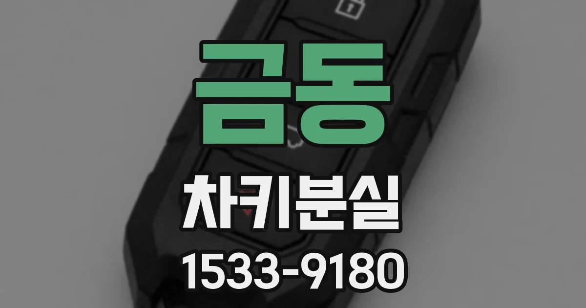 금동 차키분실