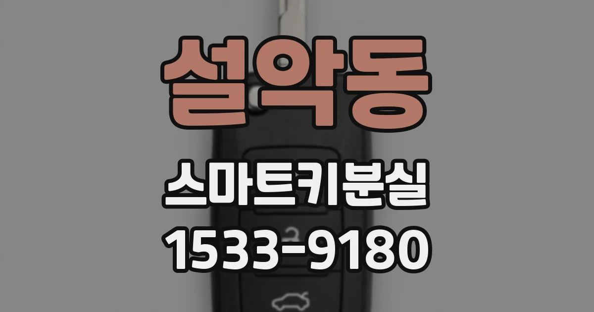 설악동 스마트키분실