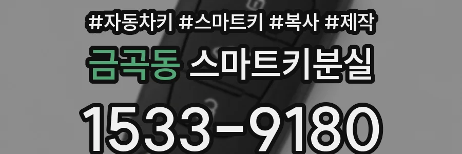 금곡동 스마트키분실