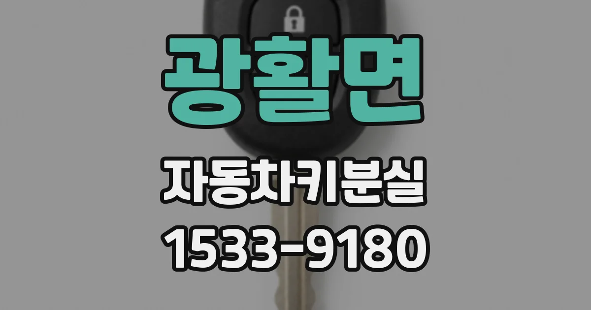 광활면 자동차키분실