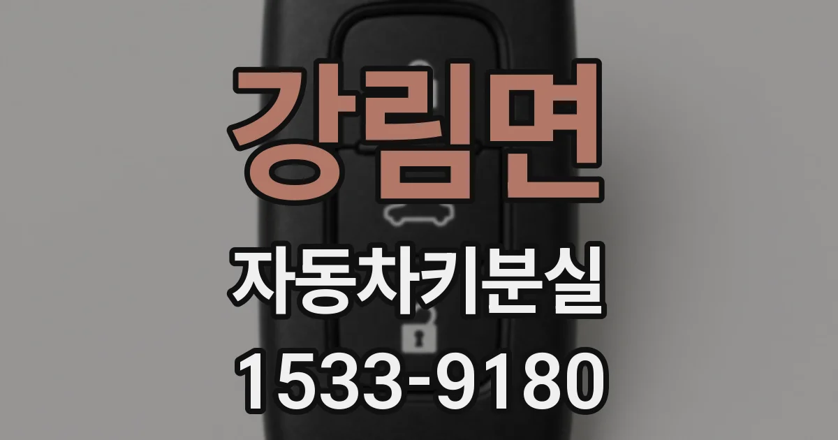 강림면 자동차키분실