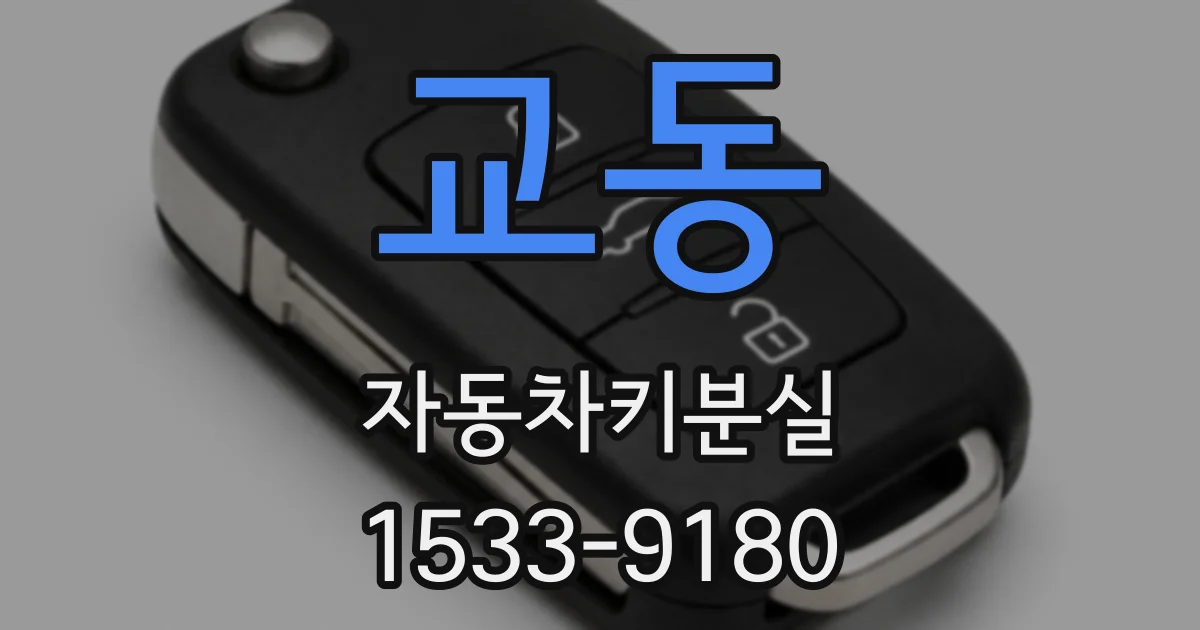 교동 자동차키분실