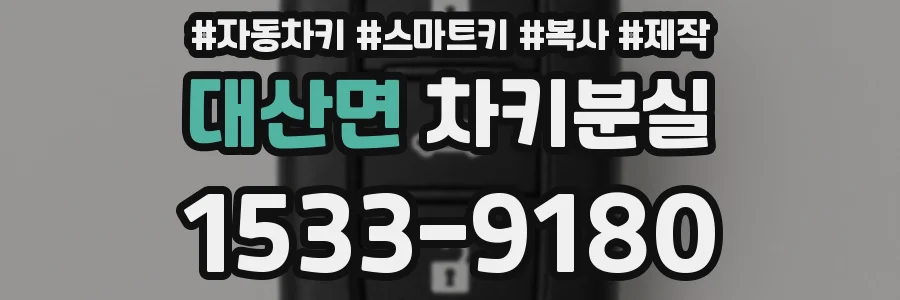 대산면 차키분실