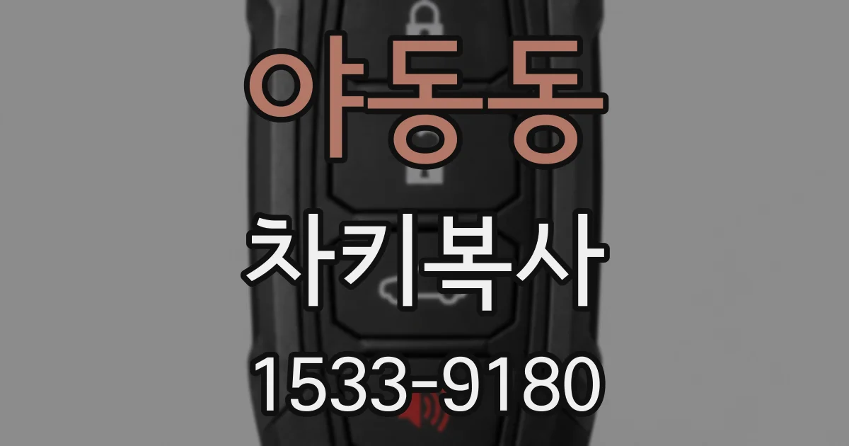 야동동 차키복사