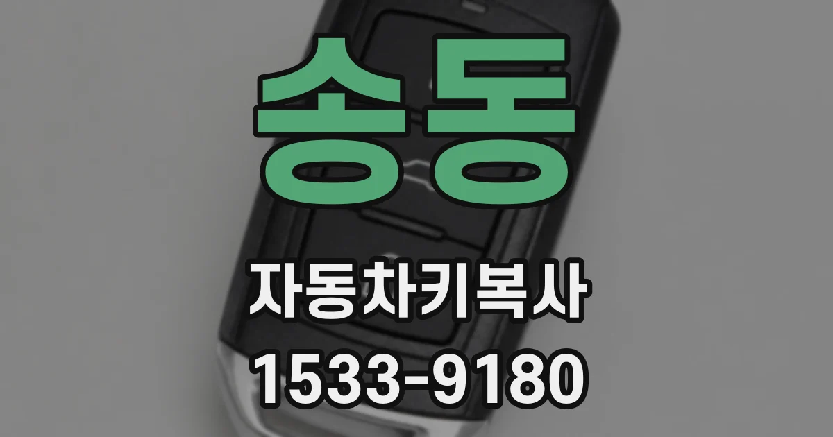 송동 자동차키복사