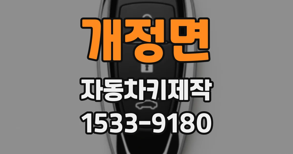 개정면 자동차키제작