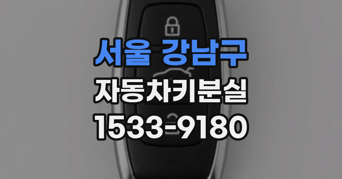 서울 강남구 자동차키분실