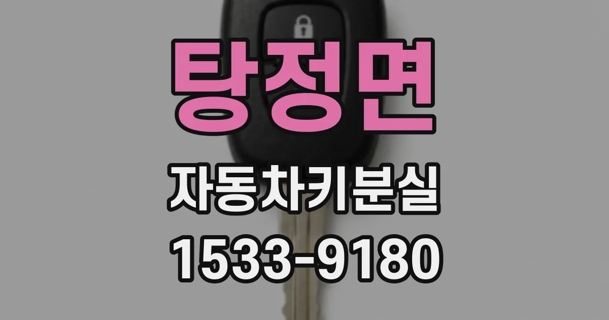탕정면 자동차키분실