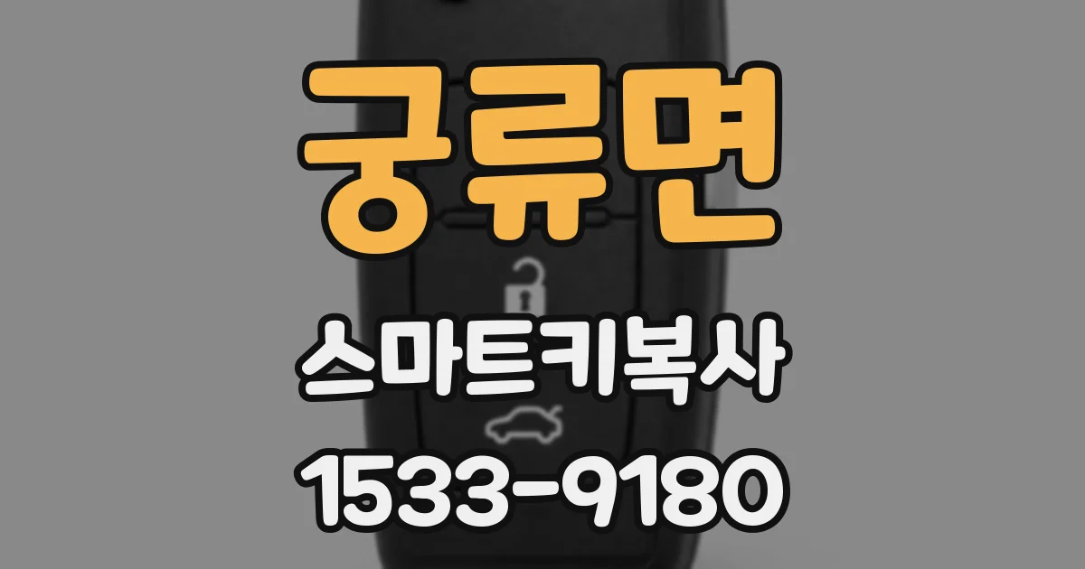 궁류면 스마트키복사