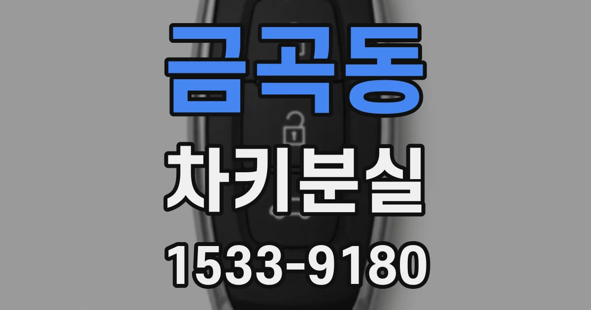 금곡동 차키분실
