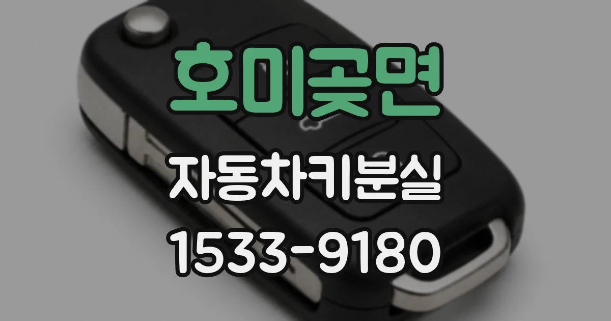 호미곶면 자동차키분실