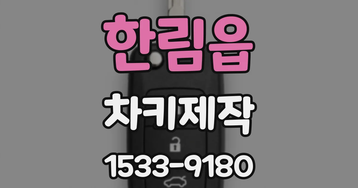 한림읍 차키제작