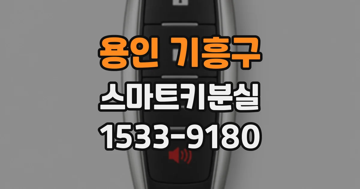 용인 기흥구 스마트키분실