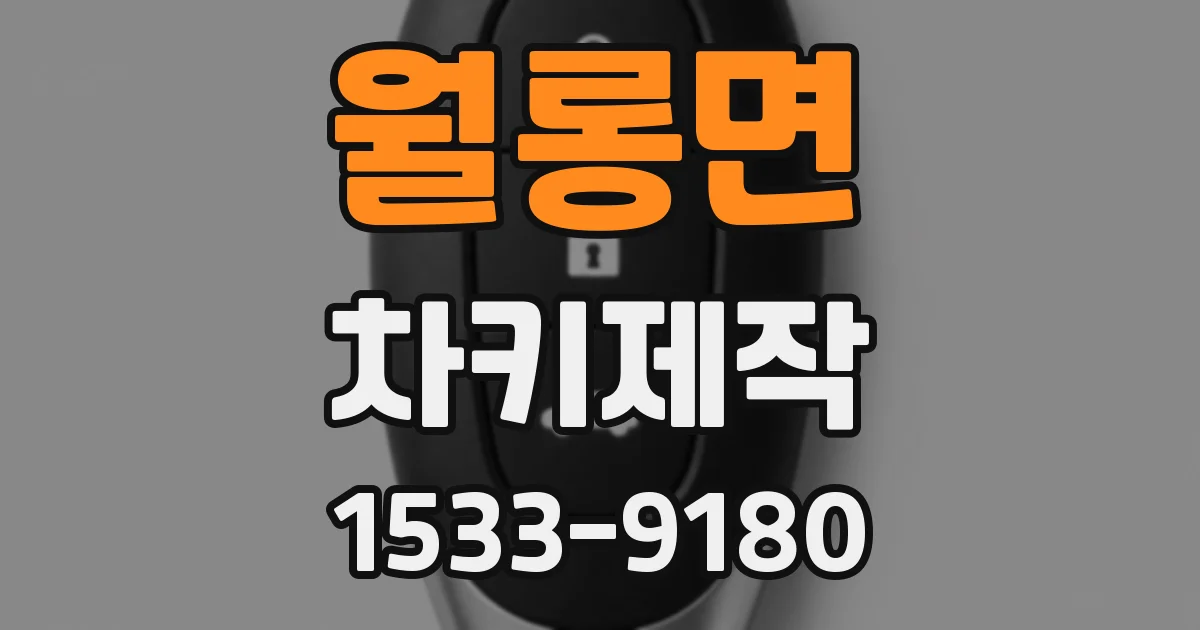 월롱면 차키제작
