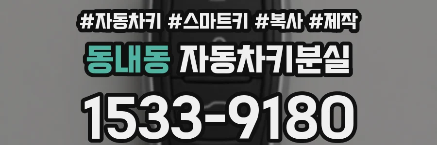동내동 자동차키분실
