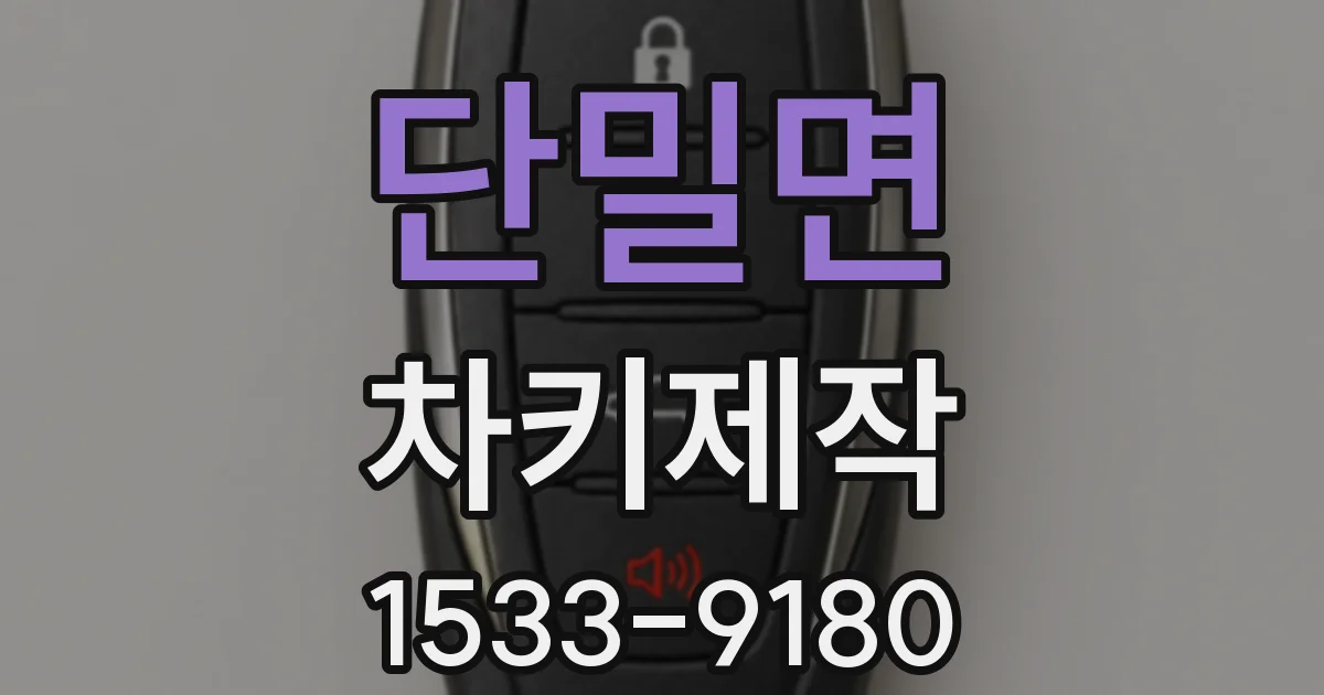 단밀면 차키제작